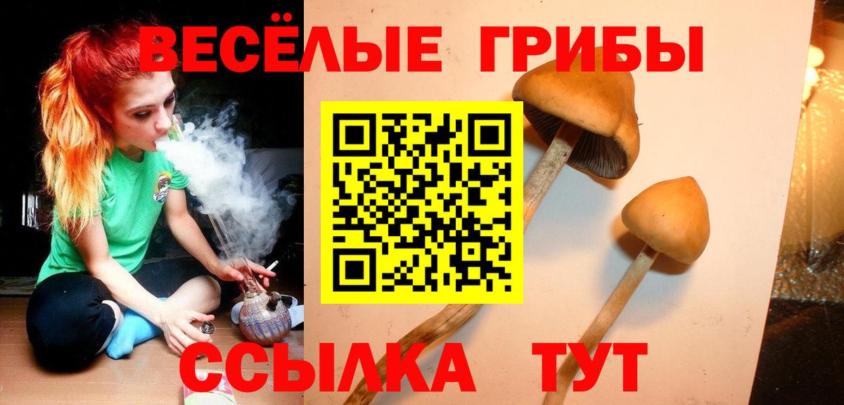 Галлюциногенные грибы MAGIC MUSHROOMS  Псилоцибиновые грибы ЛСД  Магнитогорск  Вход с VPN 